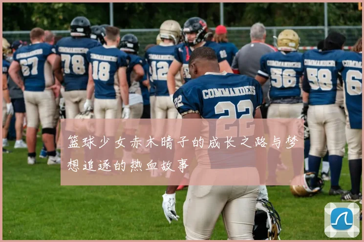 篮球少女赤木晴子的成长之路与梦想追逐的热血故事