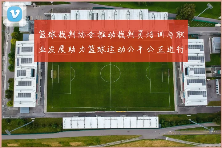 篮球裁判协会推动裁判员培训与职业发展助力篮球运动公平公正进行